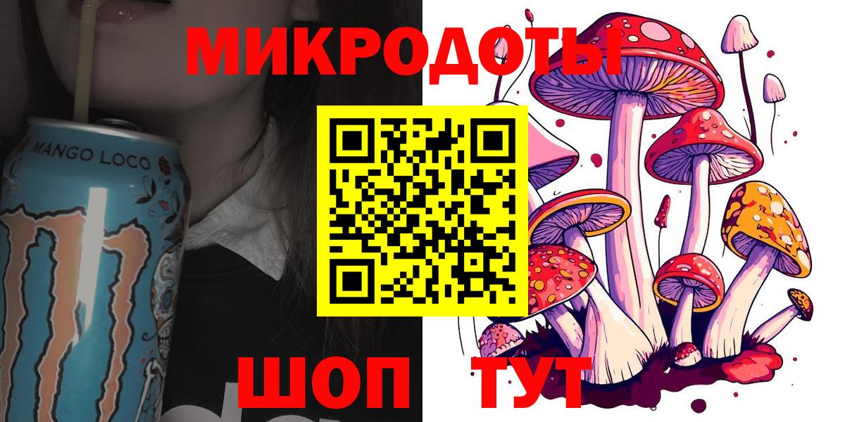 Псилоцибиновые грибы Psilocybe Ирбит